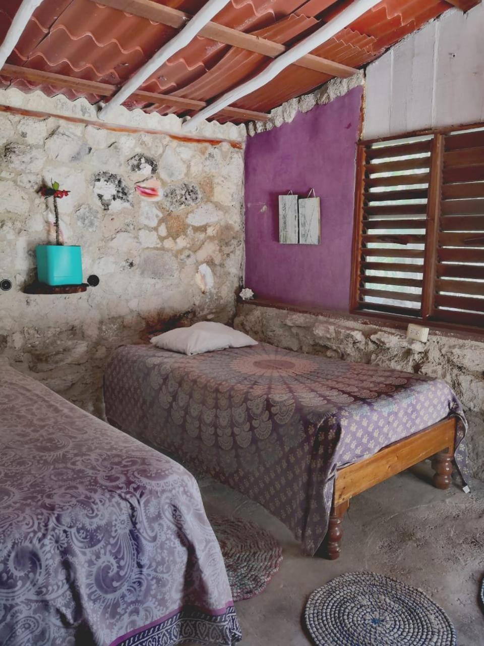 Lunazul Eco-Cabana Frente Al Mar ماهاهوال المظهر الخارجي الصورة