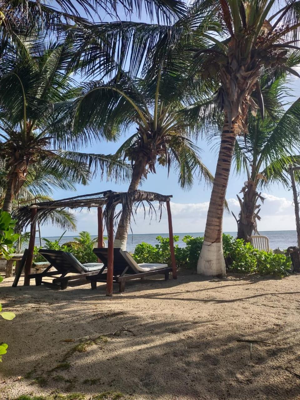 Lunazul Eco-Cabana Frente Al Mar ماهاهوال المظهر الخارجي الصورة
