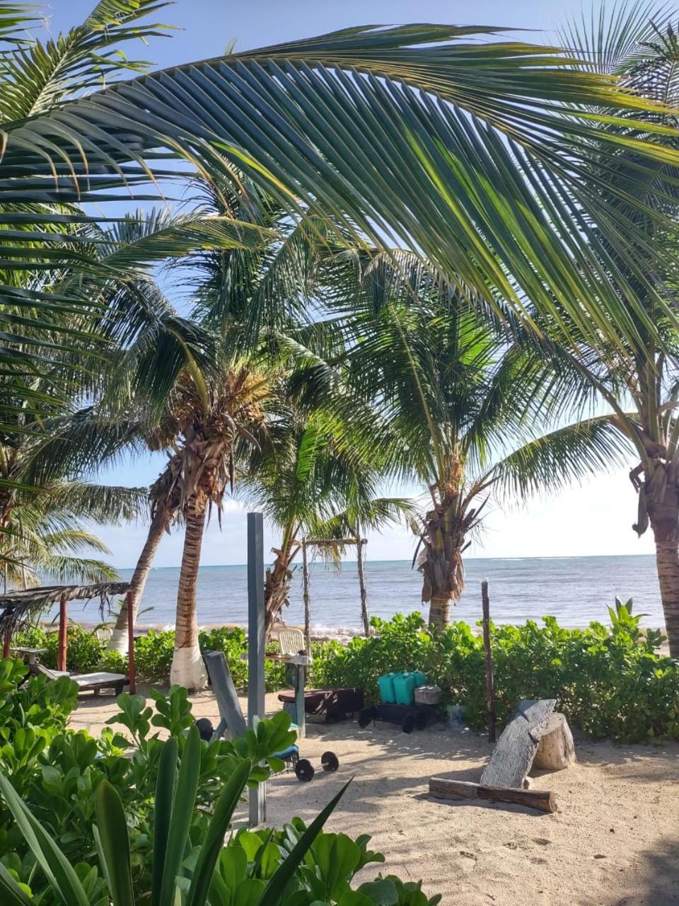 Lunazul Eco-Cabana Frente Al Mar ماهاهوال المظهر الخارجي الصورة