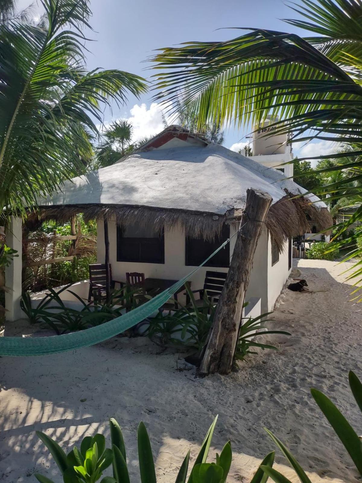 Lunazul Eco-Cabana Frente Al Mar ماهاهوال المظهر الخارجي الصورة