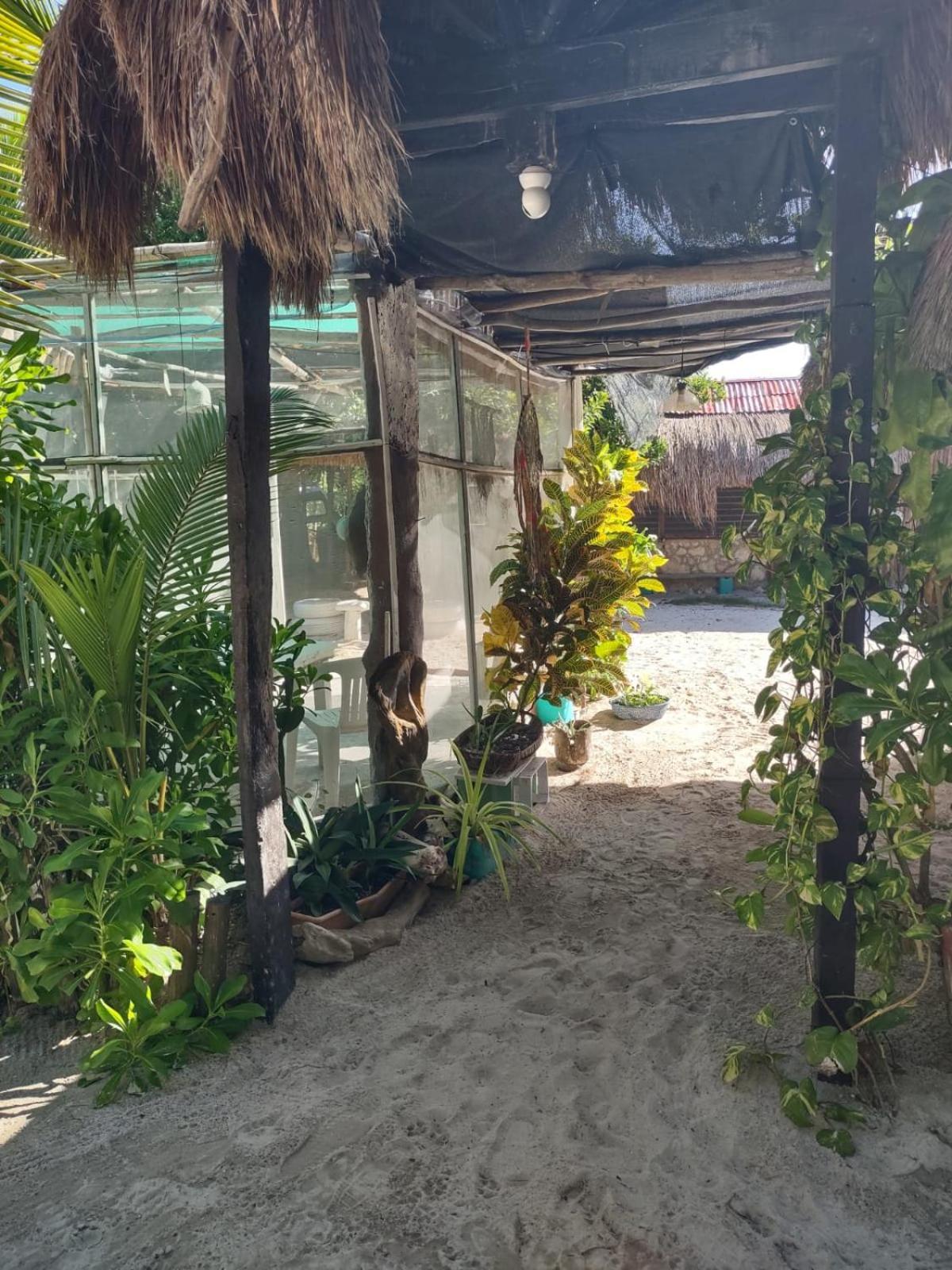 Lunazul Eco-Cabana Frente Al Mar ماهاهوال المظهر الخارجي الصورة